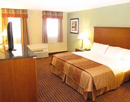 La Quinta Inn & Suites - King Bedroom