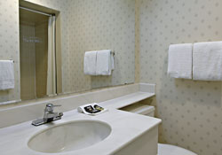 Travelodge - Guestroom Bathroom
