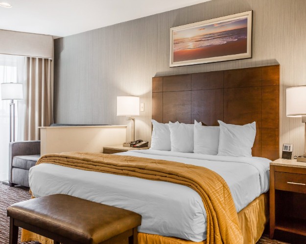 Quality Inn & Suites - 