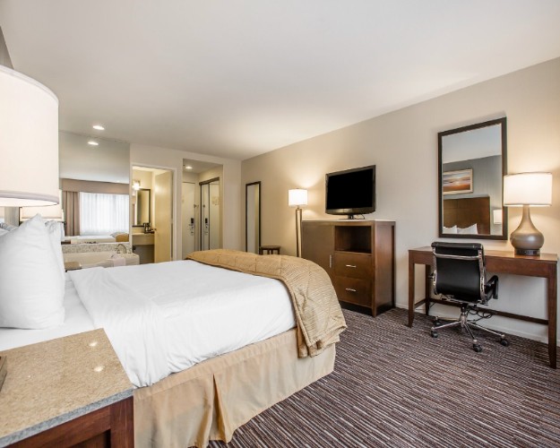 Quality Inn & Suites - 