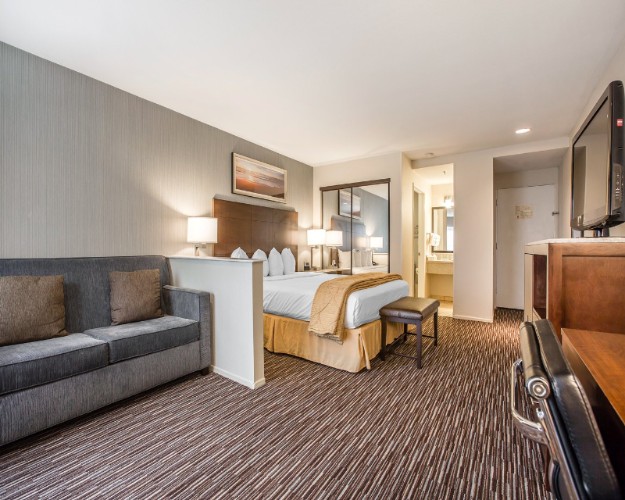 Quality Inn & Suites - 