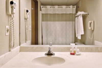 Ramada Inn Downriver - Ramada Taylor Bathroom