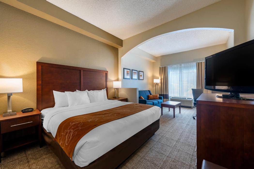 Comfort Suites Downtown Orlando - 