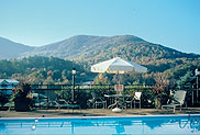 Swimming Pool & Mountain Views