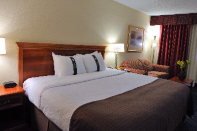 We've Left The Light On-guestroom