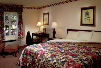 Spacious King Room