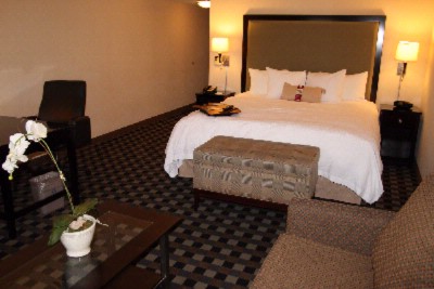 Hampton Inn & Suites Bush Int'l Airport - King Study - King Size Bed With A Sofabed Work Desk And A Flat Screen Television!