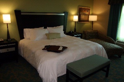 Hampton Inn & Suites Beach Blvd / Mayo Clinic Area - King Room