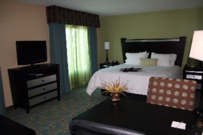 Hampton Inn & Suites Beach Blvd / Mayo Clinic Area - King Studio Suite