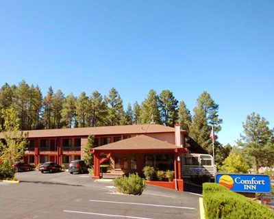 Comfort Inn - 