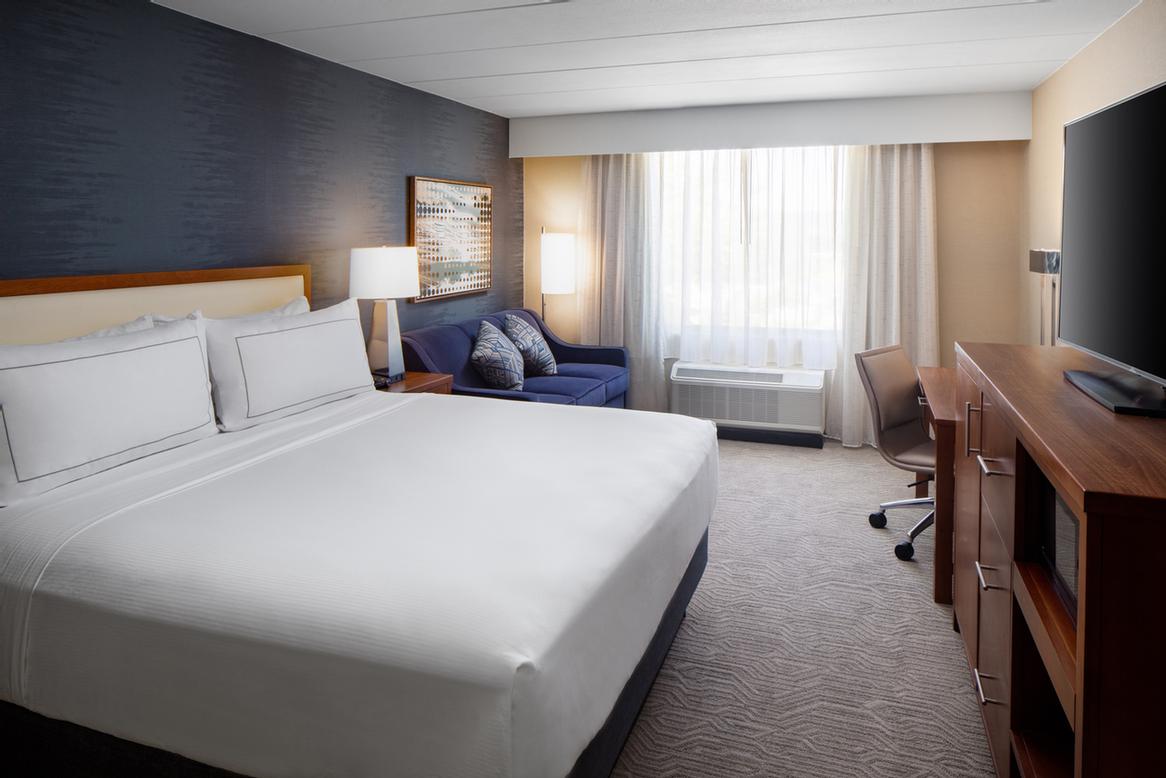 Holiday Inn Near The University of Michigan - Double Bedded Room
