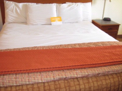 La Quinta Inn Galveston - Standard King Room