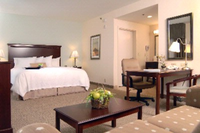 Hampton Inn & Suites Prescott Valley - King Suite Almost 500sq Feet To Stretch Out In And Relax. Fold Out Sofa As Well As Wet Bar Area.