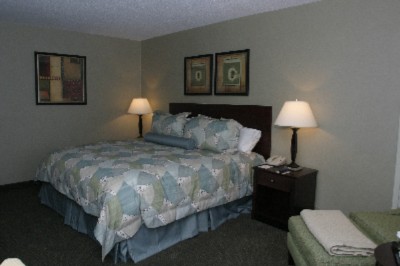 Clarion Hotel Atlanta Airport - 