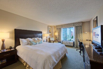 Hilton Garden Inn Denver Tech Center - King Room