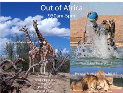 Quality Inn Cottonwood - Out Of Africa Serengeti Safari/tiger Splash