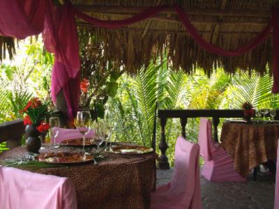 Maruba Resort Jungle Spa - 