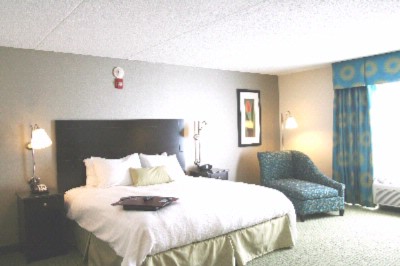 Hampton Inn Richmond South - Handicap King Bedroom