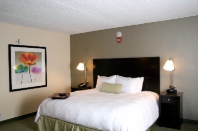 Hampton Inn Richmond South - King Bedroom