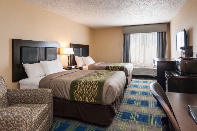 Comfort Inn & Suites - Standard Room With 2 Queen Beds