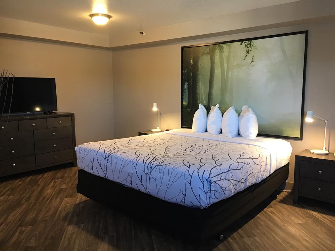 Best Western Courtesy Inn - Business Center