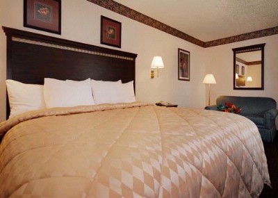 Comfort Inn Medical Center - Guest Room With King Bed And Sofa