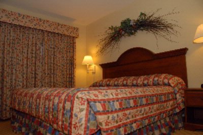 Econo Lodge Inn & Suites - King Bed