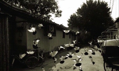 Beijing Hutong Culture Inn & Hostel - 