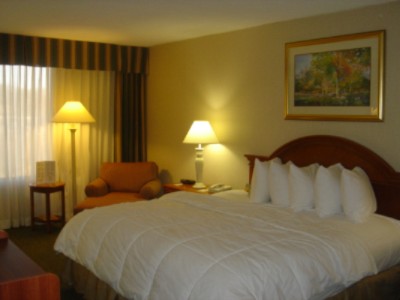 King Sized Bedroom With A Heavenly Duvet Cover