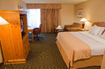 Holiday Inn Forest Park - Guest Room With One Bed