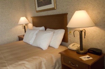 Days Inn St. Catharines Niagara - Queen Bedroom