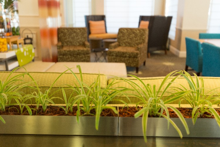 Hilton Garden Inn St. Augustine Beach - 