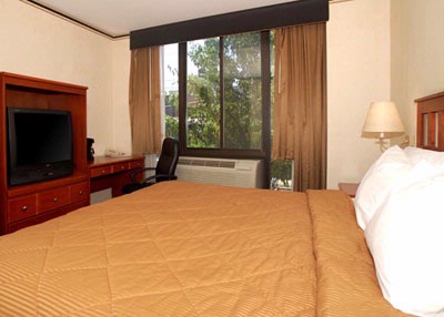 Comfort Inn Long Island City - 