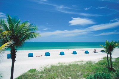 Grand Plaza Beachfront Resort Hotel - Cabana & Water Sports Available