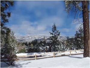 Stargazers Inn & Observatory - 