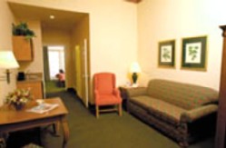 1 Bedroom Suite