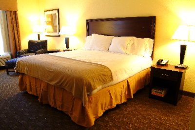 Holiday Inn Express & Suites Clearwater Us 19 N - King Bedded Room