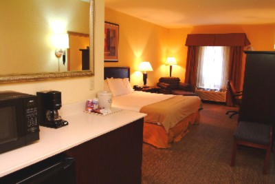 Holiday Inn Express & Suites Clearwater Us 19 N - Suite Area