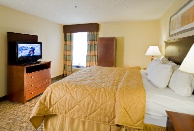 Comfort Inn & Suites - Executive Suite