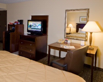 Comfort Inn & Suites - One Room King Suite