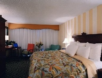 Charleston Riverview Hotel - Newly Renovated Guest Room