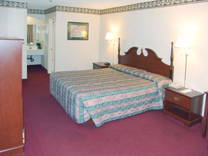 Ramada Limited Canoga Park - King Beds