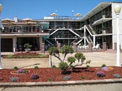 Alamar Resort Inn - 