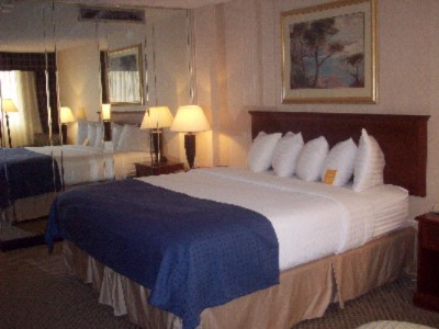 Holiday Inn Downtown Mercy Campus - King Size Guest Room