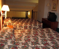 La Quinta Inn & Suites - 