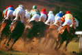 Cedar Downs Off Track Betting