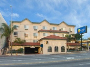 Newly Renovated Rooms