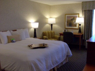 Hampton Inn Dover - King Bed Room