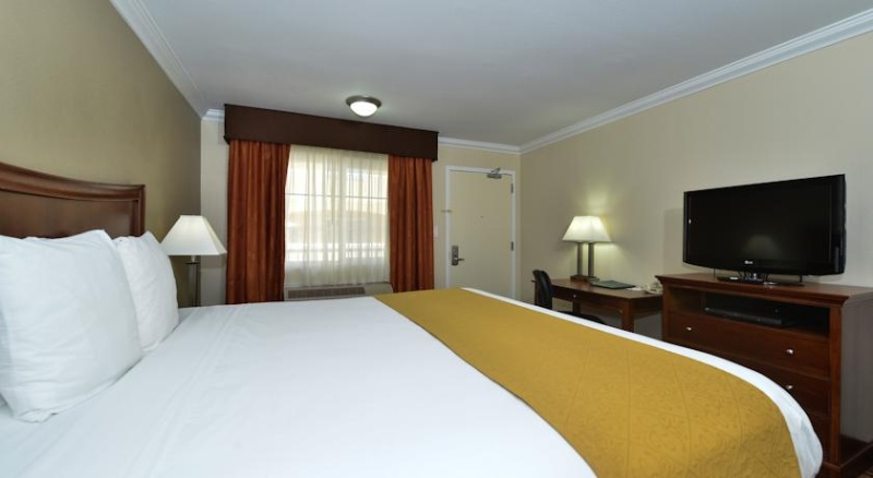 Quality Inn Downtown Sacramento - 1 King Bed