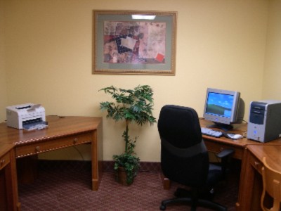 Holiday Inn Express University of Arkansas Area - Business Center